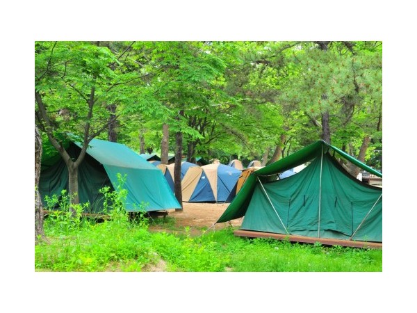 경기_한국스카우트연맹서삼릉청소년야영장_3.jpg?type=m500_500