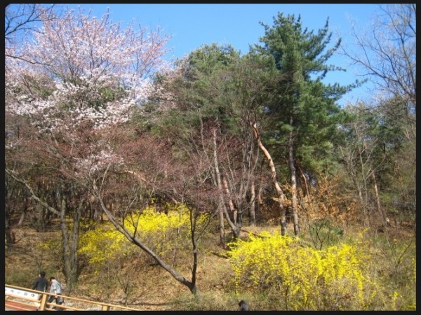 110416_041.jpg