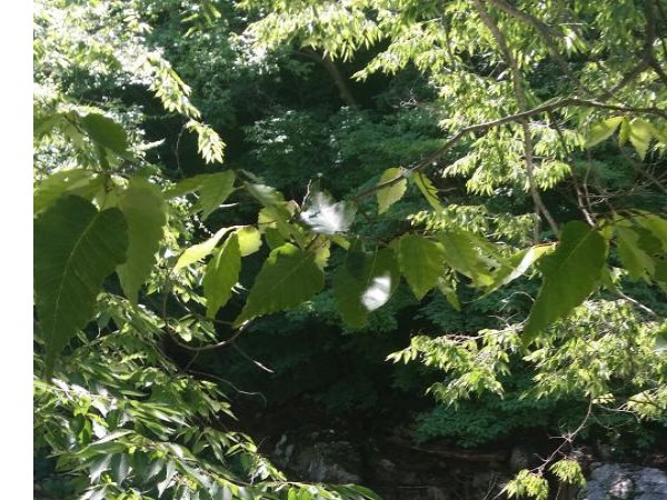 20170713_100715.jpg