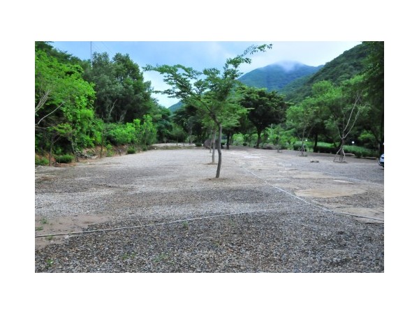 경북_산내산장펜션캠프_3.jpg?type=m500_500