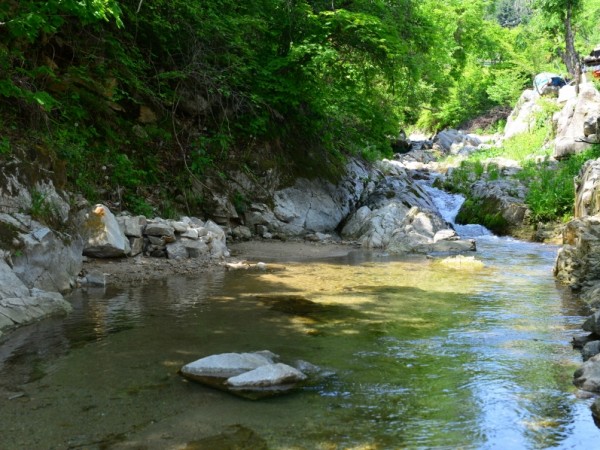 g7212.jpg