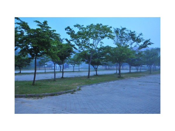 충남_학암포오토캠핑장_3.jpg?type=m500_500