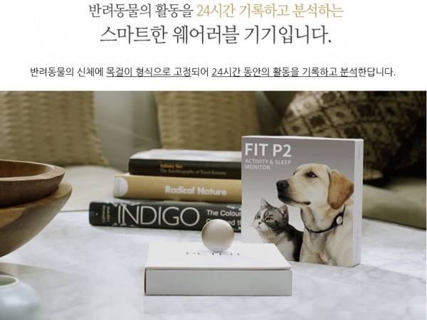 올프04.JPG
