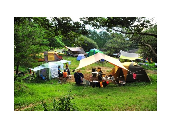 제주_돈내코야영장_2.jpg?type=m500_500