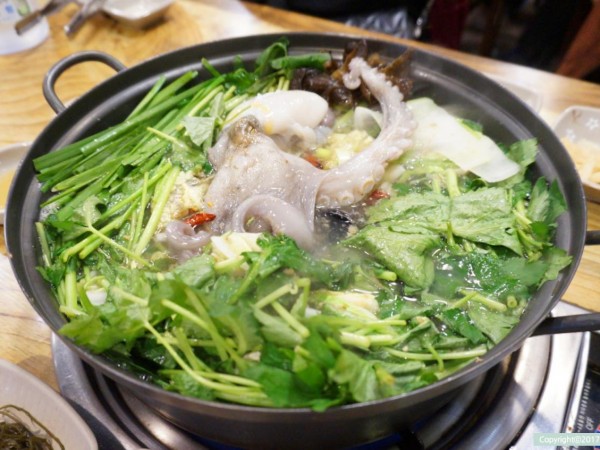 09DSC01167.jpg