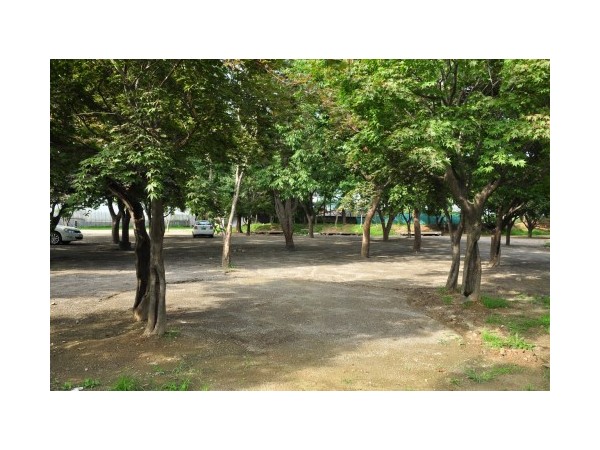 경기_임진강폭포어장_1.jpg?type=m500_500