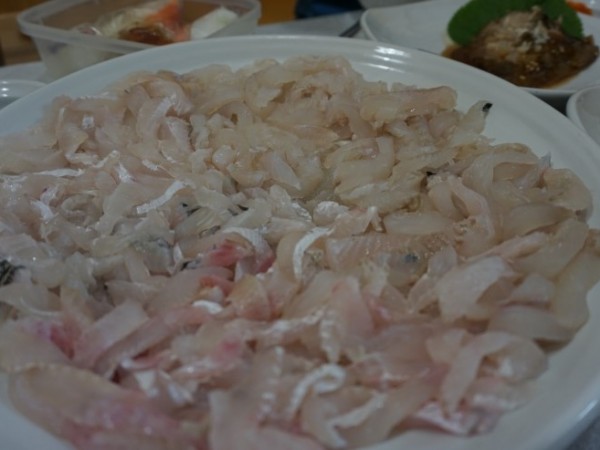 DSC00032.JPG