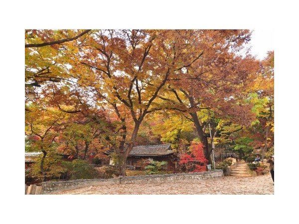 서울_길상사_11.jpg