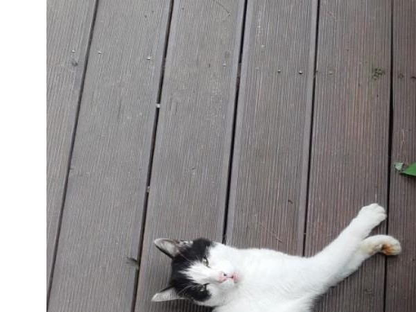KakaoTalk_20180630_223520315.jpg