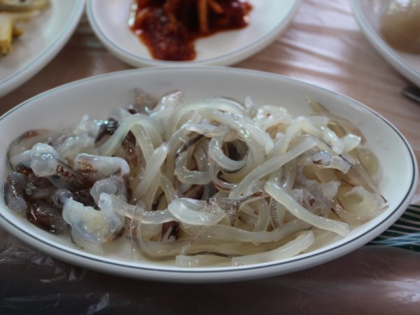 고성_277.JPG