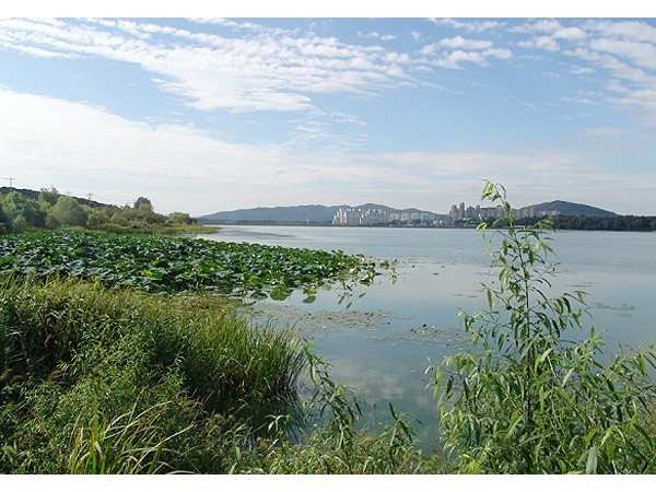 왕송호수2.jpg