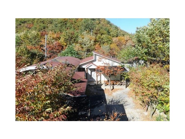 83047_720.jpg?type=m500_500