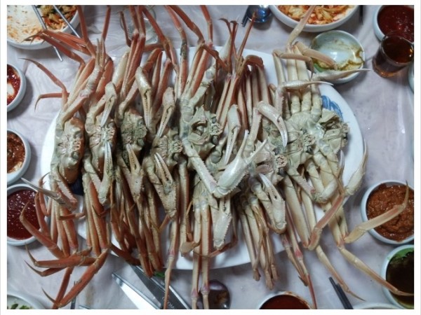 주부대학영덕나들이저녁맛회와대게축제20140113_(8).jpg