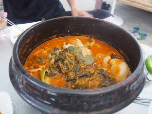 P1013617.JPG