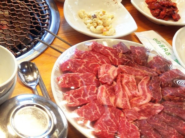애견동반식당_메인.jpg
