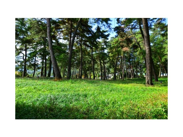 경북_상오리캠프장_13.JPG?type=m500_500