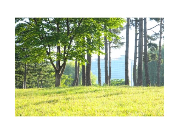 경기_일산호수공원_11.JPG