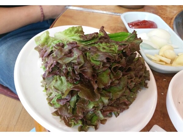 20150906_140413.jpg