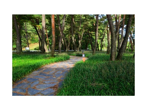 경북_상오리캠프장_14.JPG?type=m500_500