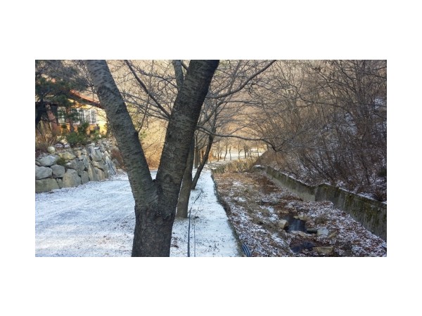 156156506651944_2.jpeg