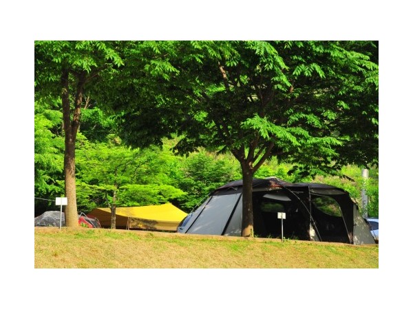 강원_치악산금대자동차야영장_1.jpg?type=m500_500