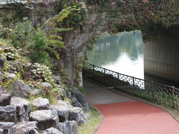 566A3451.JPG#900x600
