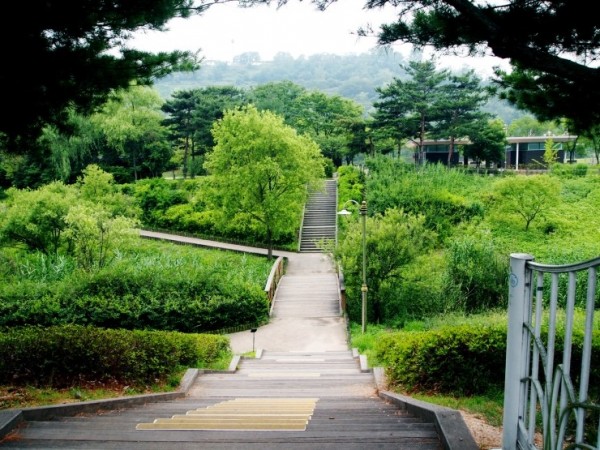 3.jpg#740x555