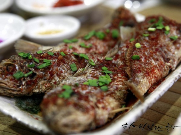 20160314-17_제주여행_068.jpg