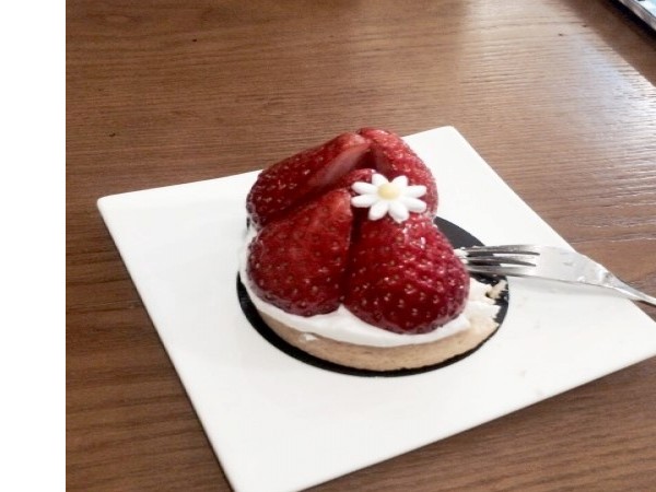 KakaoTalk_20160315_205118287.jpg