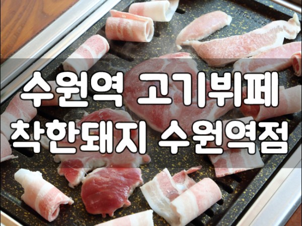 착한돼지.jpg