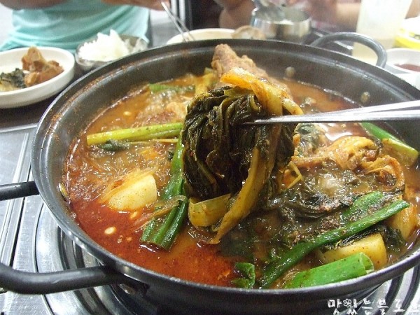 파인픽스_012.JPG