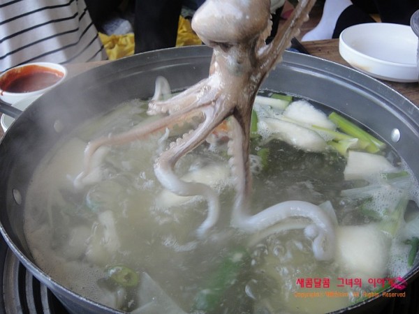 DSC08782.JPG