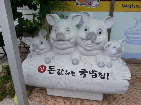 20160609_124456.jpg