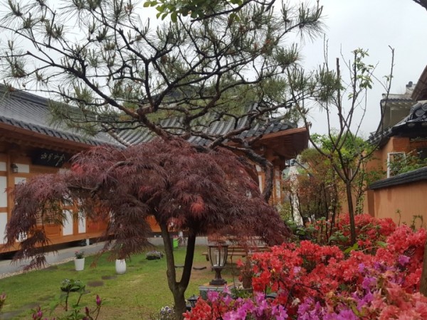 KakaoTalk_20180502_175422079.jpg