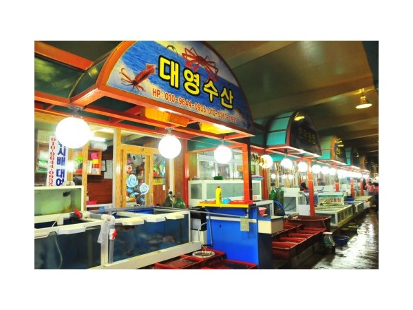 강원_삼척항회타운_1.JPG?type=m500_500