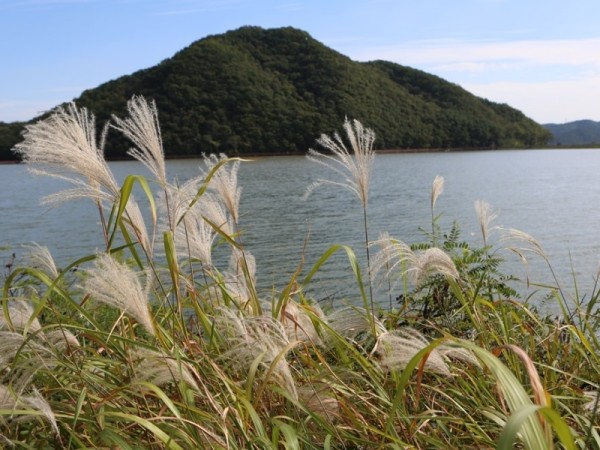 566A4897.JPG#900x600