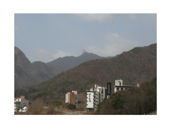 21290402_3.jpg