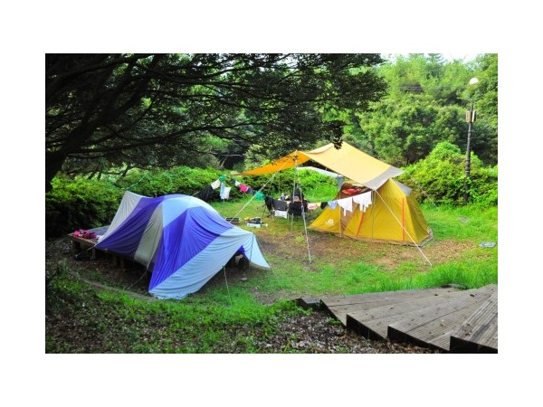 제주_돈내코야영장_5.jpg?type=m500_500