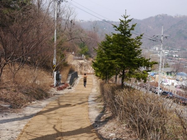 P1190947.JPG#740x495