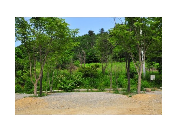 경기_유식물원오토캠핑장_3.jpg?type=m500_500