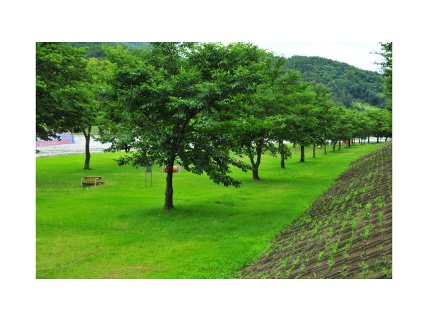 경북_운문댐하류보유원지_2.jpg?type=m500_500