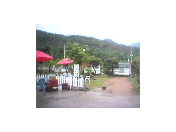 11731363_0.jpg
