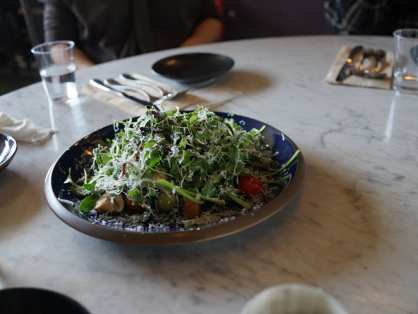 DSC08065.JPG
