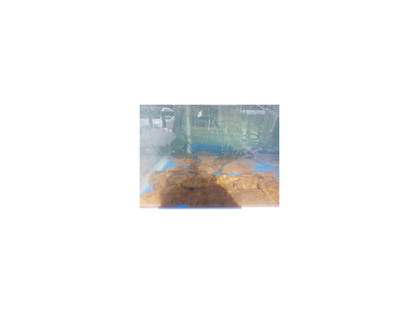 PyyxiAjP-iTCnL1FiNCl8dL9.png