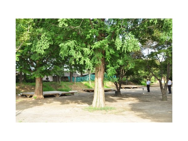 경기_임진강폭포어장_4.jpg?type=m500_500
