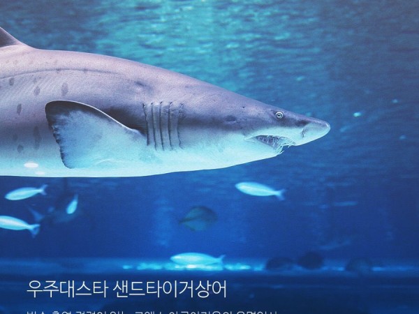 KakaoTalk_20161221_155401146.jpg