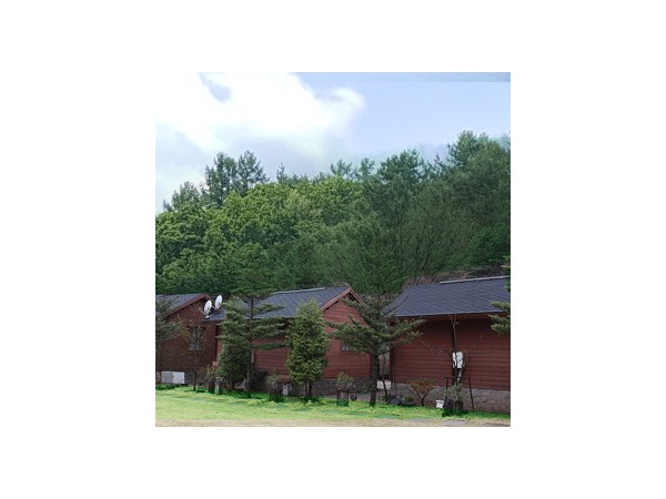 bJh8qmPA_VdOlb53ldqM5494.jpg
