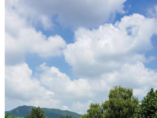 20160804_110109.jpg#700x1191