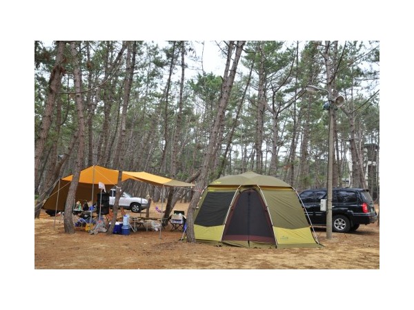 충남_몽산포야영장_12.jpg?type=m500_500