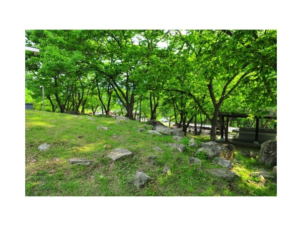 강원_치악산금대자동차야영장_6.jpg?type=m500_500